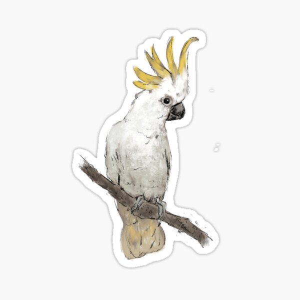 cockatoo Sticker