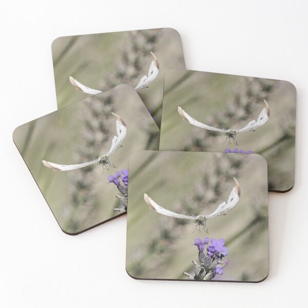 Item preview, r2258/ Papillons - Butterfly Papillon en vol sept 2019 (h) Okaio Création & Olavia-Olao designed and sold by o.okaïo.