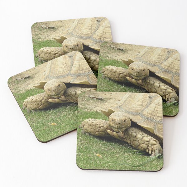 Item preview, African Spurred Tortoise designed and sold by Linda Walsh.