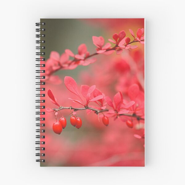 Item preview, Close-up of red barberry in autumn designed and sold by Juhku.