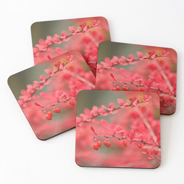Item preview, Close-up of red barberry in autumn designed and sold by Juhku.