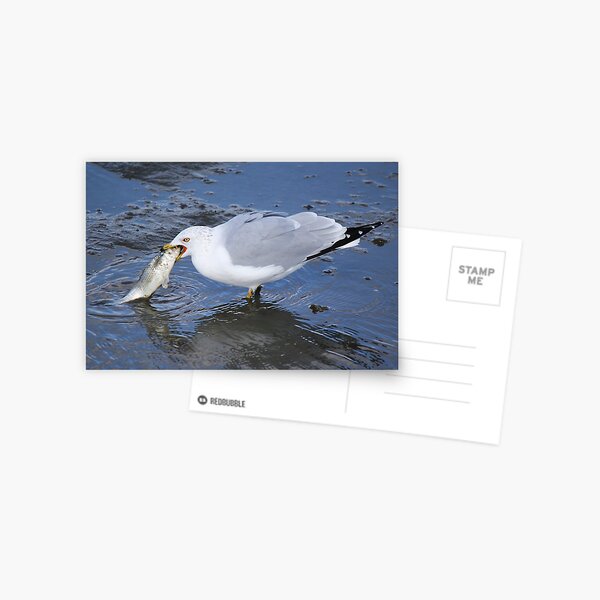 Item preview, I caught a Fish and it was this BIG  designed and sold by Paulette1021.