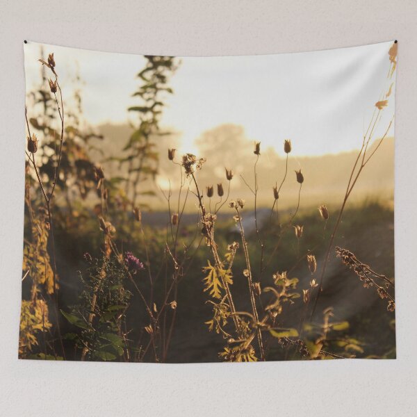 Item preview, Autumn morninglight in the garden designed and sold by cuprum.