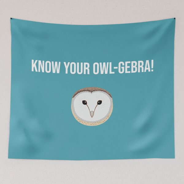 Item preview, Know Your Owl Algebra Math Cute Gift designed and sold by Portowl.