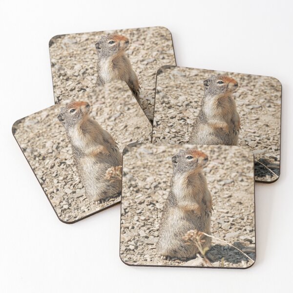 Item preview, Pete The Prairie Dog designed and sold by Lanis Rossi.