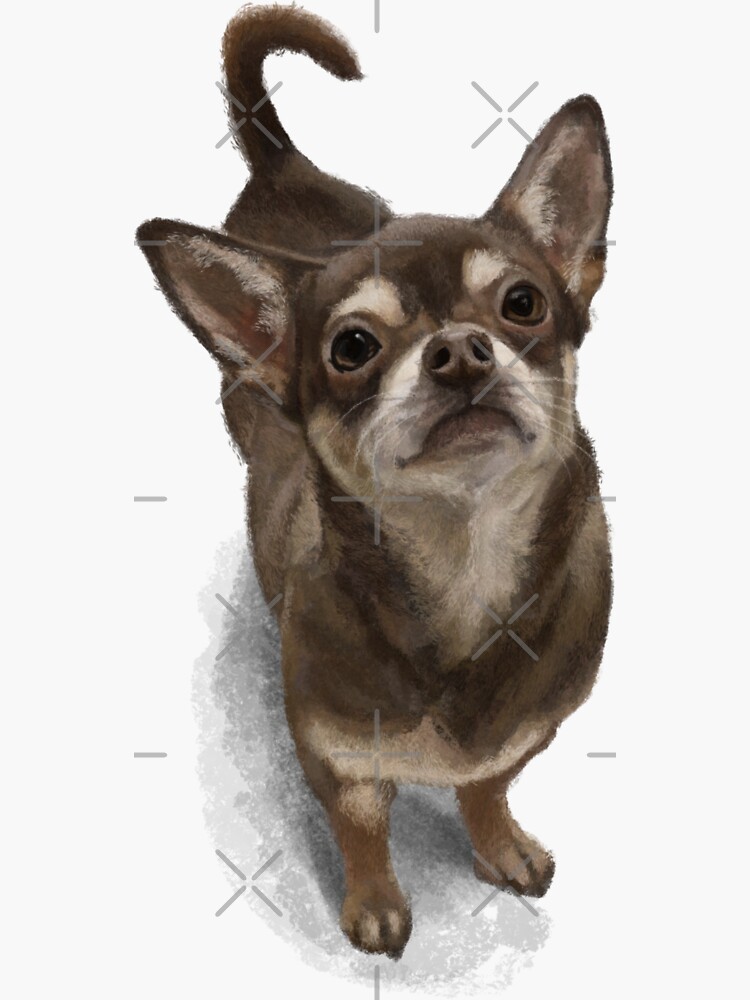 The Chihuahua by elspethrose