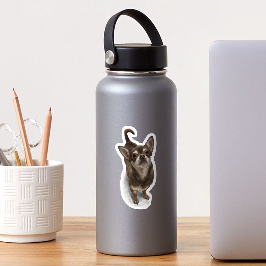 The Chihuahua Sticker