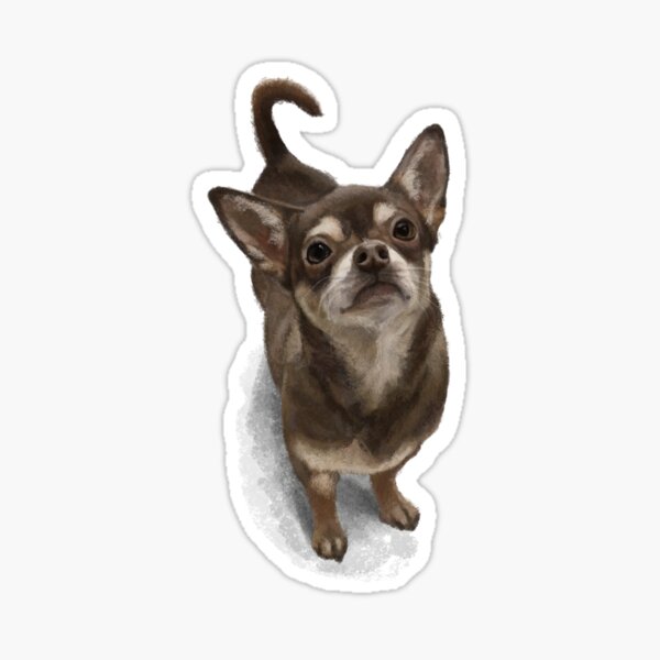 The Chihuahua Sticker