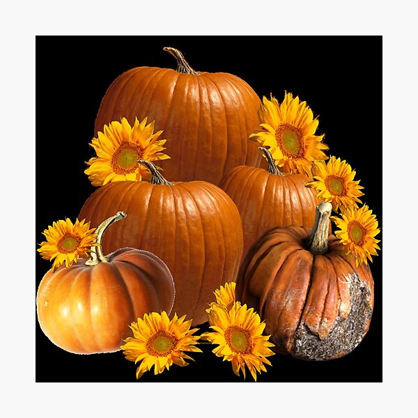 Item preview, PUMPKINS, YELLOW SUNFLOWERS FALL GARDEN HARVEST designed and sold by sharlesart.