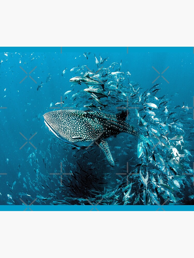 Imagen 6 de 6, Manta con la obra Foto ganadora del Premio Tiburón Ballena, diseñada y vendida por Picturestation.