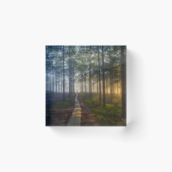 Artikelvorschau, Waldweg entworfen und verkauft von Dawn van Doorn.