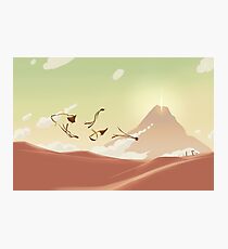 Gliding Photographic Print