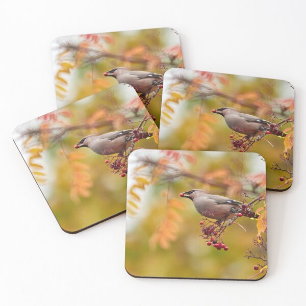 Item preview, Got it. Bohemian waxwing designed and sold by Jouko Lehto Photography.