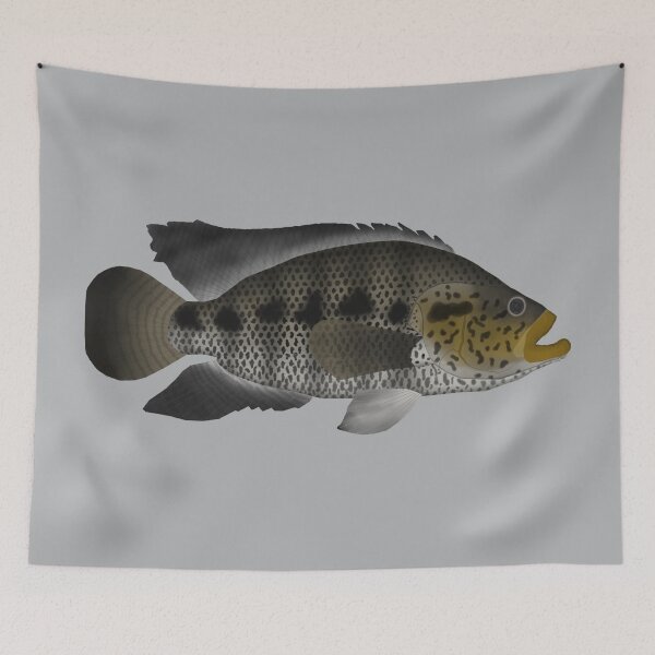 Artikelvorschau, Jaguar Cichlid entworfen und verkauft von fishfolkart.