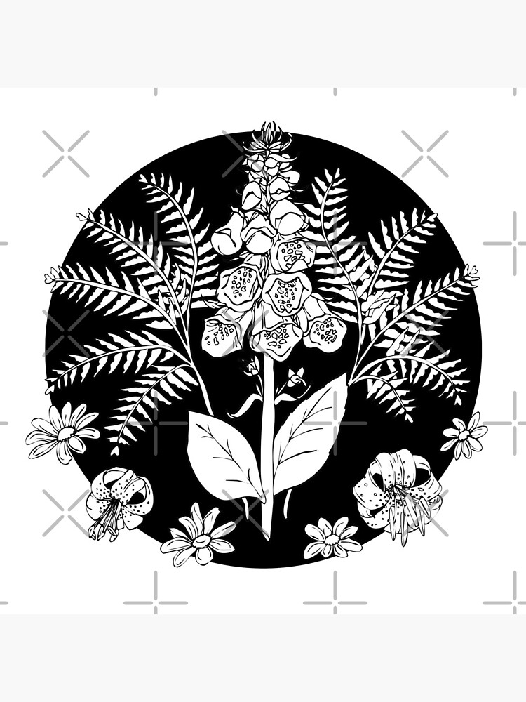 Foxglove ferns | PNW botanical illustration by craftordiy
