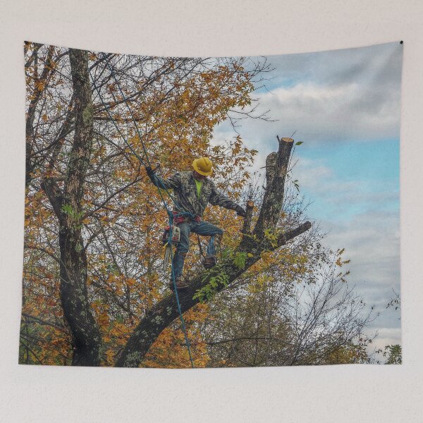 Item preview, Tree Surgeon designed and sold by Frankie Cat Photography.