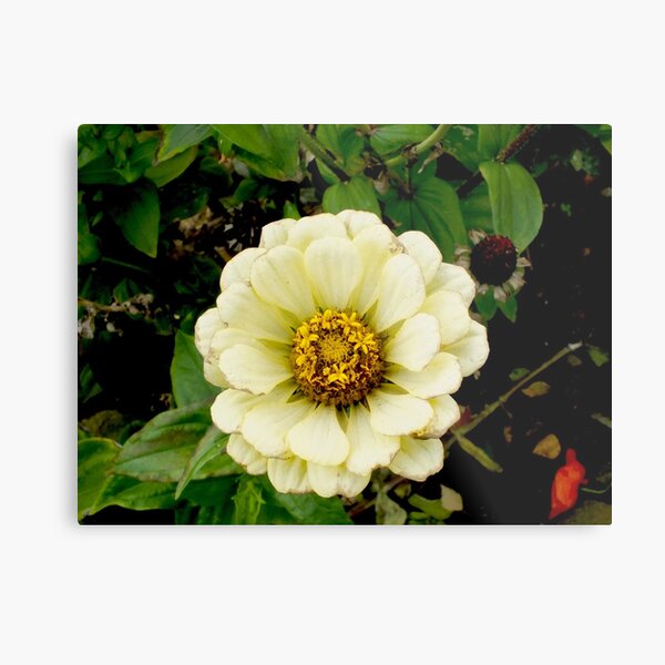 Hazy Metal Print