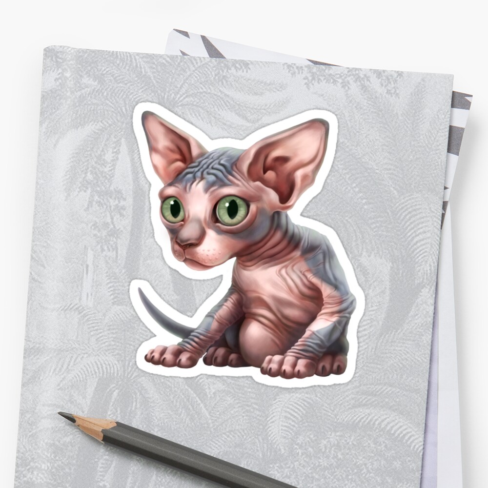 Cat A Clysm Sphynx Kitten Classic Sticker By Ikerpazstudio Redbubble