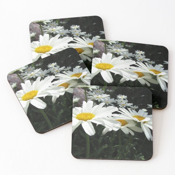 Item preview, Daisies designed and sold by valerie travers.