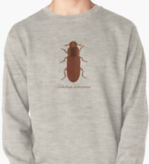 Tribolium castaneum - Red flour beetle Pullover