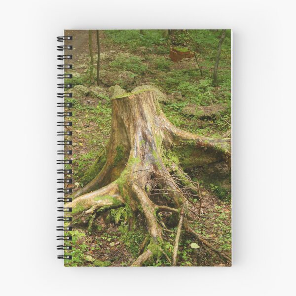 Item preview, big dry tree stump designed and sold by mrivserg.