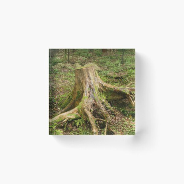 Item preview, big dry tree stump designed and sold by mrivserg.