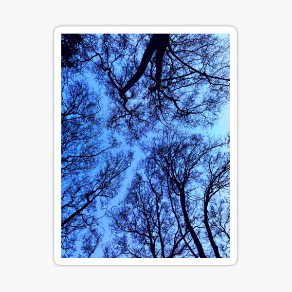Sky Trail Sticker