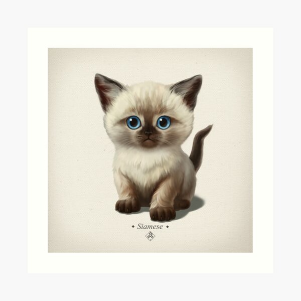 Cataclysm- Siamese Kitten Classic Art Print
