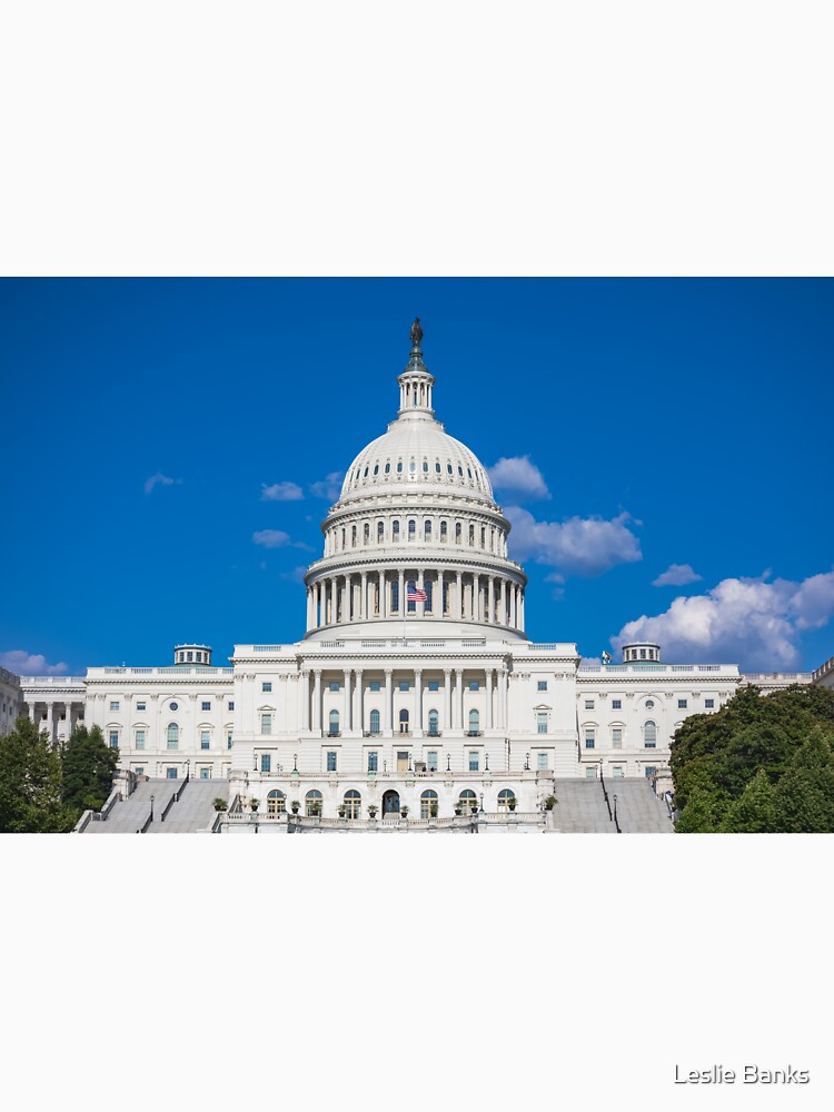U.S. Capitol in Washington, DC by PixLifePhoto