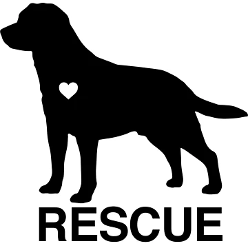 Artwork thumbnail, Love Lab Rescue by NorthMerchCo