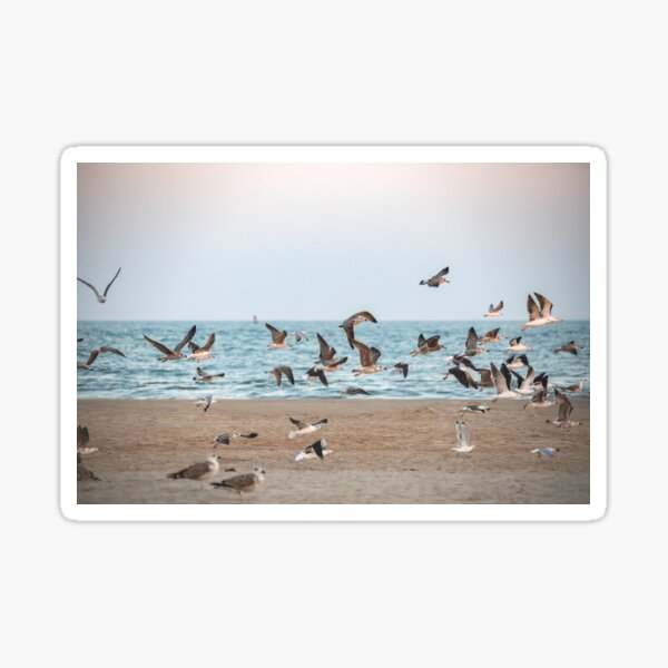 Item preview, Seagulls at Ocean City, Maryland designed and sold by Leslie Banks.