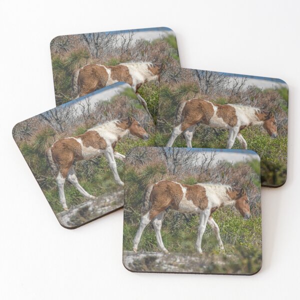 Item preview, Assateague Island Horse designed and sold by Leslie Banks.