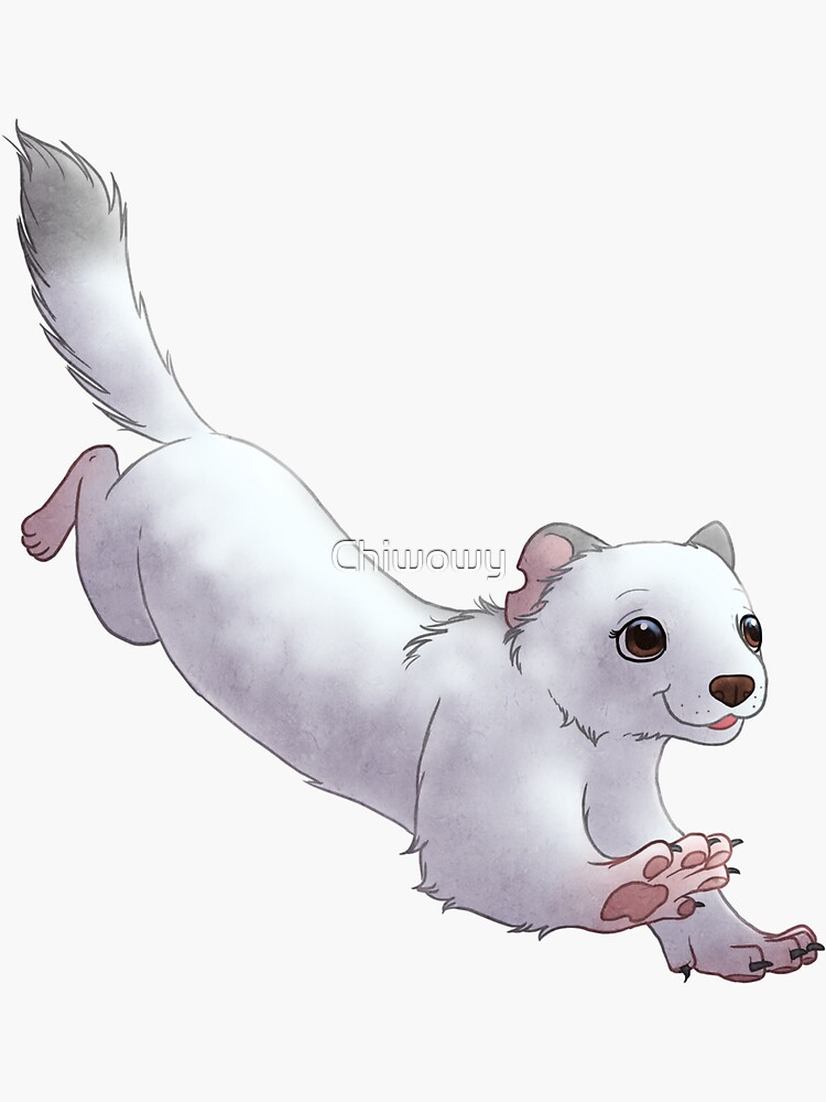 Thumbnail 3 of 3, Sticker, Cute happy ferret mink weasel panda albino designed and sold by Chiwowy.