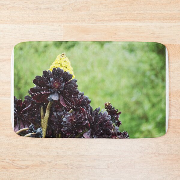 Item preview, Black Rose Aeonium designed and sold by LizardSpirit.