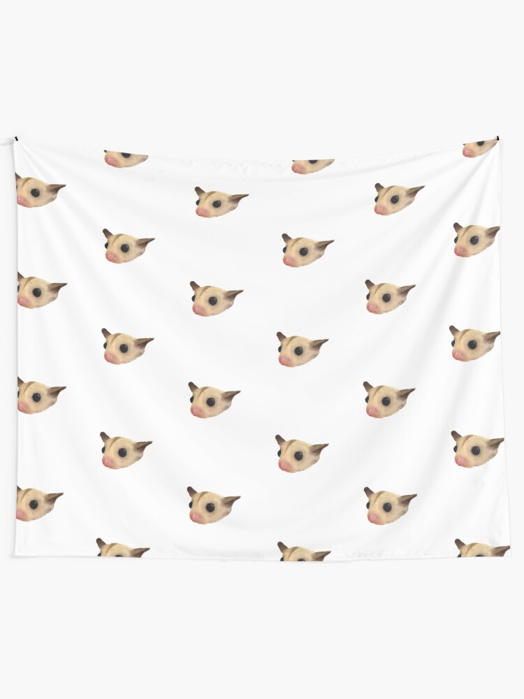 ruby leucistic sugar glider