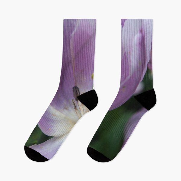 Item preview, Old Iris designed and sold by Allen Penton.