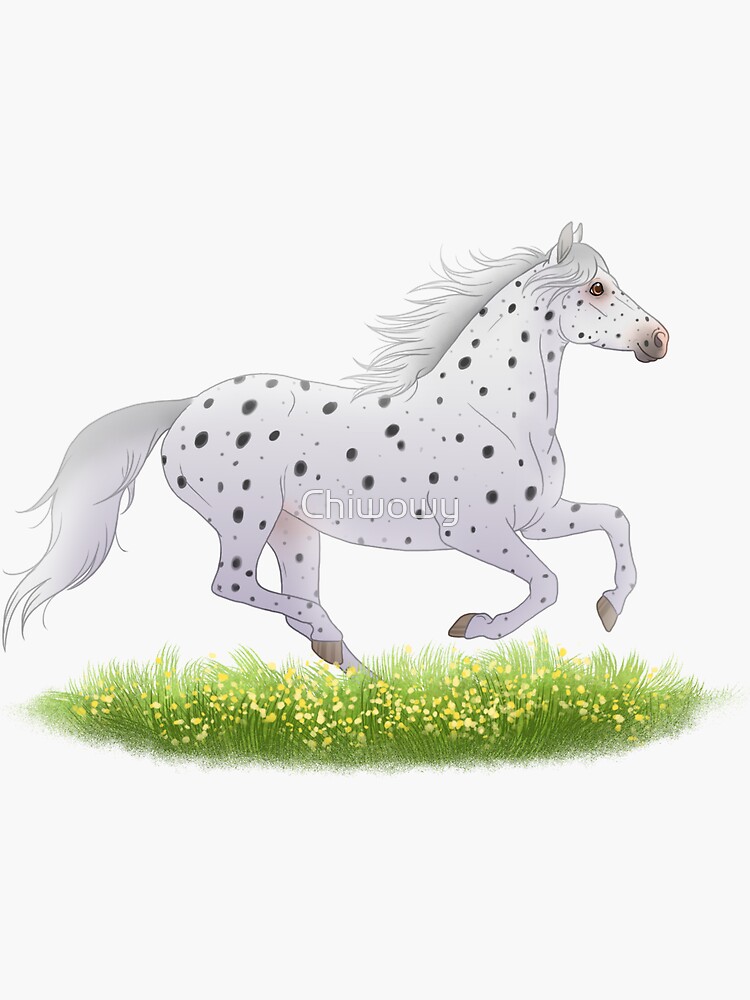 Appaloosa horse pony cute spots dalmatian indian mustang by Chiwowy