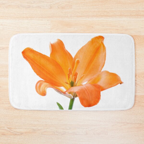 Item preview, Lilium  'Stainless Steel'  Asiatic lily   designed and sold by Chris Burrows.
