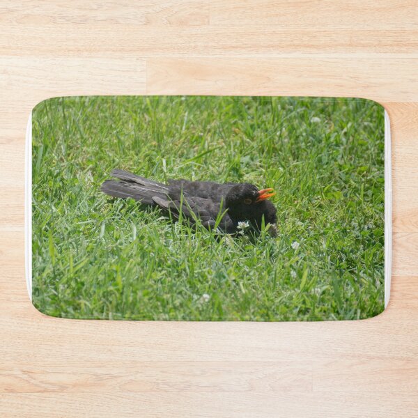 Item preview, Eurasian blackbird designed and sold by LizardSpirit.