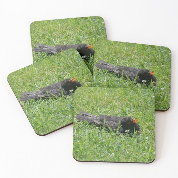 Item preview, Eurasian blackbird designed and sold by LizardSpirit.