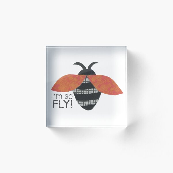 I'm So Fly Acrylic Block