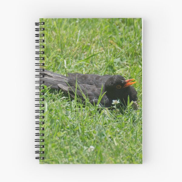 Artikelvorschau, Eurasische Amsel entworfen und verkauft von LizardSpirit.