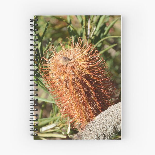 Item preview, BOTTLE BRUSH designed and sold by kazaroodie.