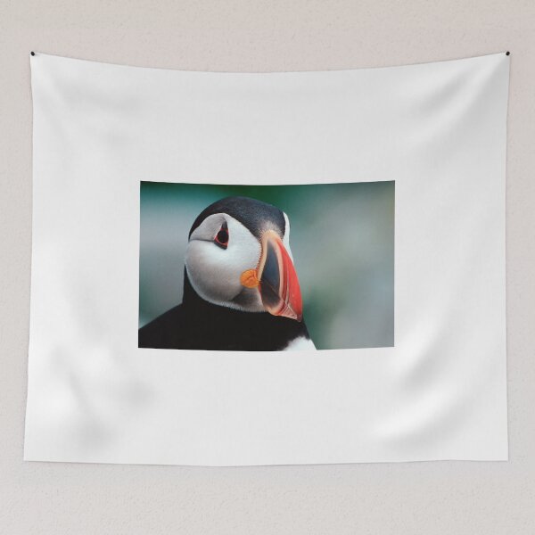 Item preview, Puffin Head Shot designed and sold by Gerard Fornarotto.