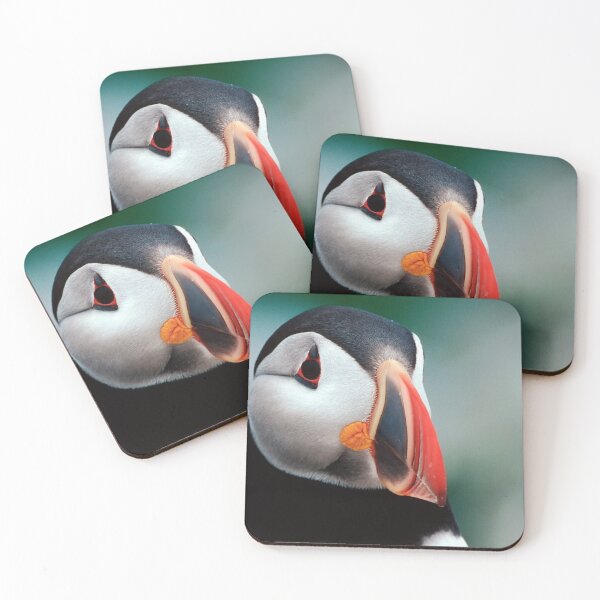 Item preview, Puffin Head Shot designed and sold by Gerard Fornarotto.