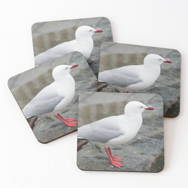 Item preview, Red Billed Gull designed and sold by LizardSpirit.