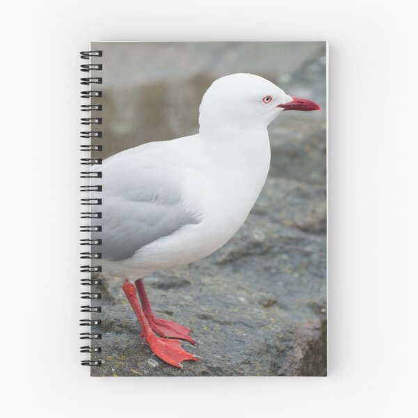 Item preview, Red Billed Gull designed and sold by LizardSpirit.
