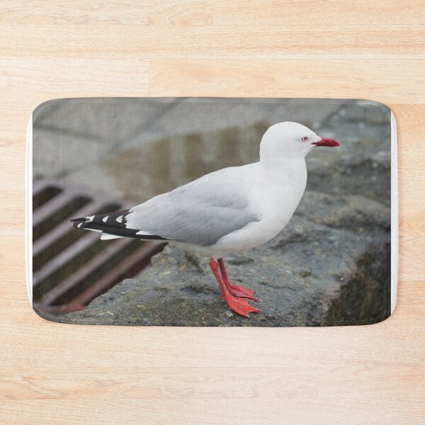 Item preview, Red Billed Gull designed and sold by LizardSpirit.