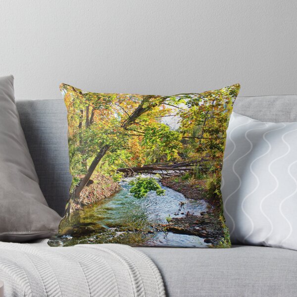 Item preview, Autumn stream designed and sold by dave-settle.