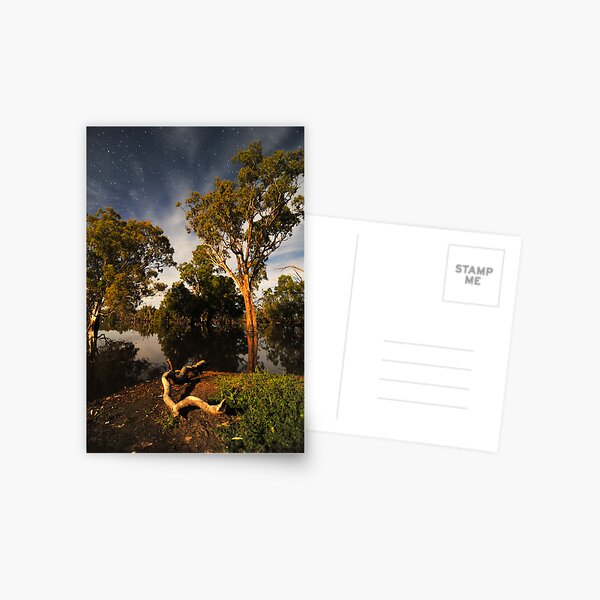 Poocher Moonlight Postcard